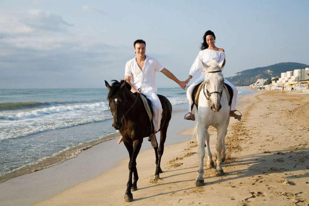 Hotel Arabella Beach 阿尔贝纳 外观 照片